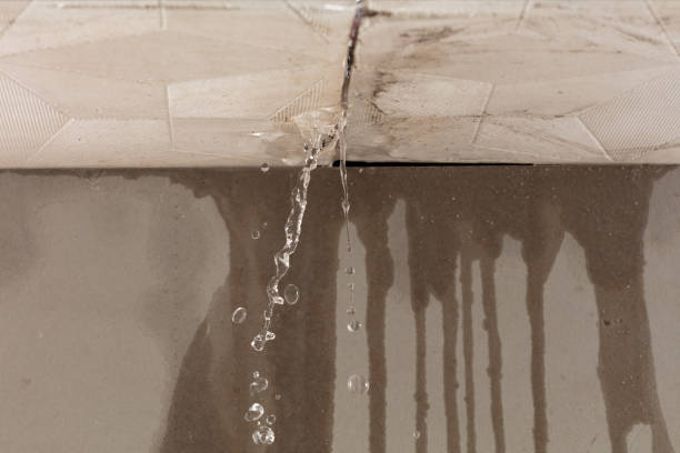 Professional Burst Pipe Cleanup technician working in Lisbon, IA